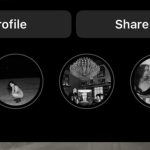 Blank Text Generator, Auto Estetik! Gini Cara Pakai Blank Text Generator Buat Sorotan IG