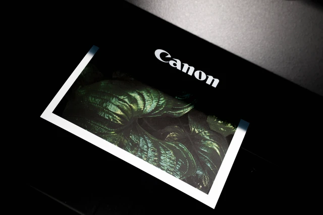 Download Resetter Canon MP287, Penyebab Canon MP287 Sering Error
