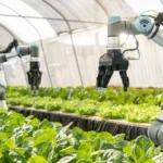 Kontribusi Teknologi terhadap Dunia Pertanian Modern, Inilah Kontribusi Teknologi terhadap Dunia Pertanian Modern yang Bikin Pertanian Indonesia Makin Canggih!