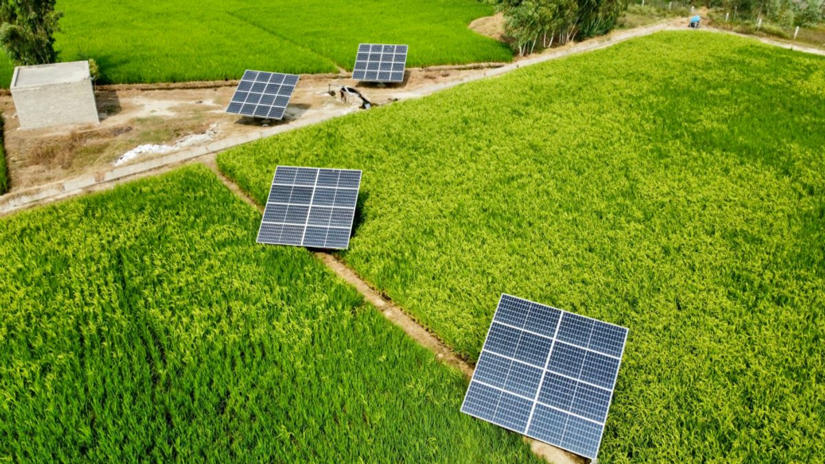 Kontribusi Teknologi terhadap Dunia Pertanian Modern, Energi Terbarukan untuk Pertanian