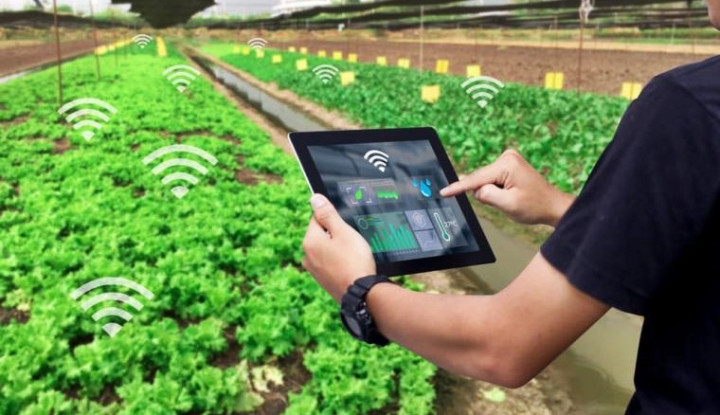 Kontribusi Teknologi terhadap Dunia Pertanian Modern, Penggunaan Aplikasi Mobile untuk Petani