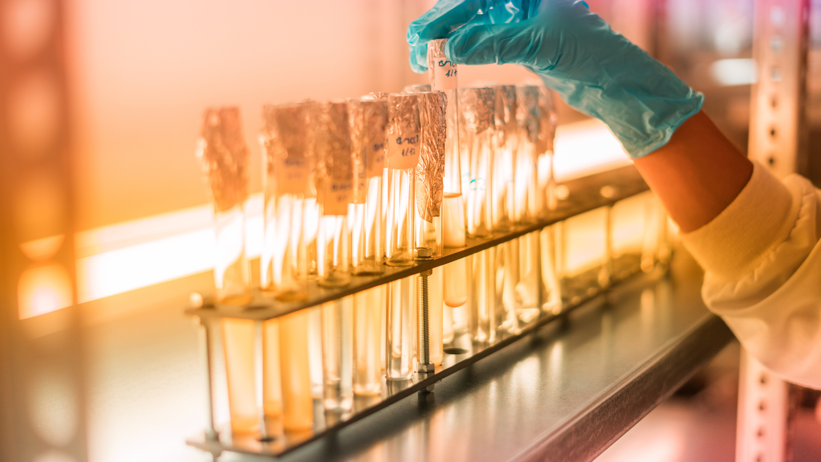 Teknologi Terbaru dalam Bidang Bioteknologi dan Farmasi, Inovasi Canggih di Dunia Bioteknologi dan Farmasi