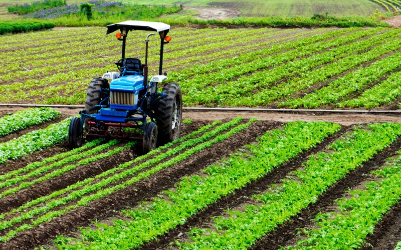 Pemanfaatan Teknologi di Sektor Pertanian Berkelanjutan, Dari Sawah ke Digital Pemanfaatan Teknologi di Sektor Pertanian Berkelanjutan yang Bikin Petani Naik Kelas!