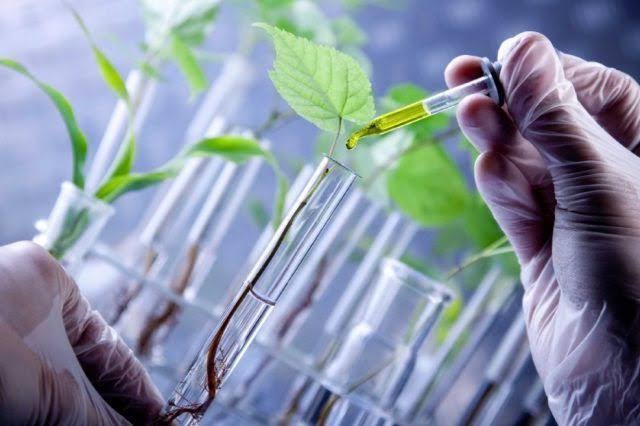 Teknologi Terbaru dalam Bidang Bioteknologi dan Farmasi, Penerapan dalam Kehidupan Sehari-hari