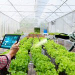 Penerapan Sistem Otomatisasi dalam Pertanian Modern, Penerapan Sistem Otomatisasi dalam Pertanian Modern untuk Meningkatkan Produktivitas Petani!