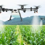 Teknologi Drone yang Bantu Petani Memantau Lahan Pertanian, Teknologi Drone yang Bantu Petani Memantau Lahan Pertanian Bikin Kerja Sawah Jadi Makin Gampang!