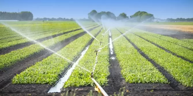 Cara Teknologi Membantu Petani Menghadapi Perubahan Iklim, Teknologi Irigasi Pintar yang Ngirit Air