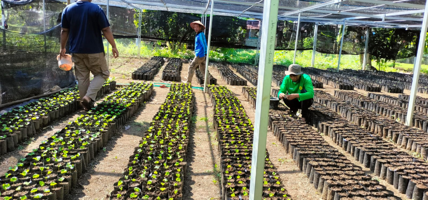 Manfaat Teknologi Digital bagi Petani Kecil, Modernisasi Sistem Pembibitan