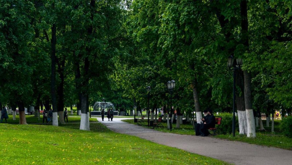 Teknologi yang Mendukung Upaya Penghijauan Perkotaan, Teknologi yang Mendukung Upaya Penghijauan Perkotaan yang Bikin Kota Makin Adem dan Modern!