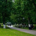 Teknologi yang Mendukung Upaya Penghijauan Perkotaan, Teknologi yang Mendukung Upaya Penghijauan Perkotaan yang Bikin Kota Makin Adem dan Modern!