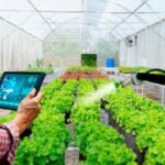 Teknologi Baru yang Meningkatkan Efisiensi Lahan Pertanian, Peran Teknologi Baru yang Meningkatkan Efisiensi Lahan Pertanian bagi Petani Masa Kini!